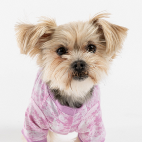 Cozy & Stylish Pink Tie Dye Dog Pajama | Perfect for a Comfy Night's Sleep